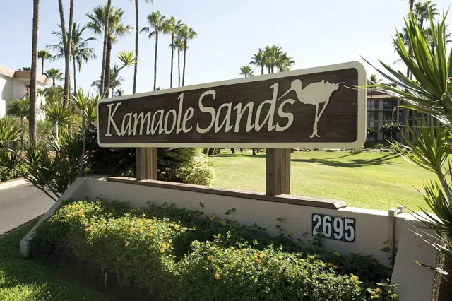 Listing Image for 2695 S Kihei Rd 9405 28 of 28