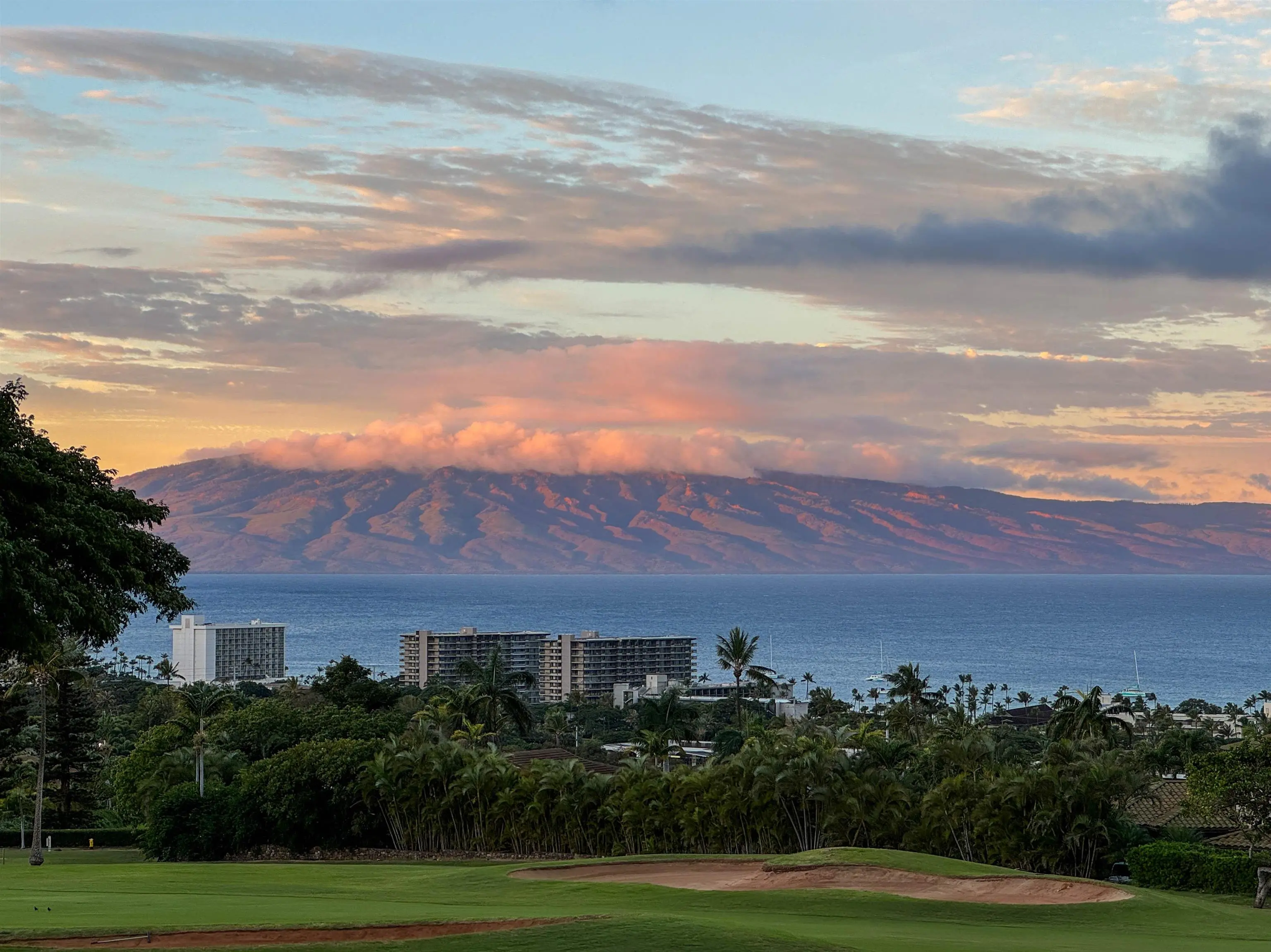 Photo of Listing #408624