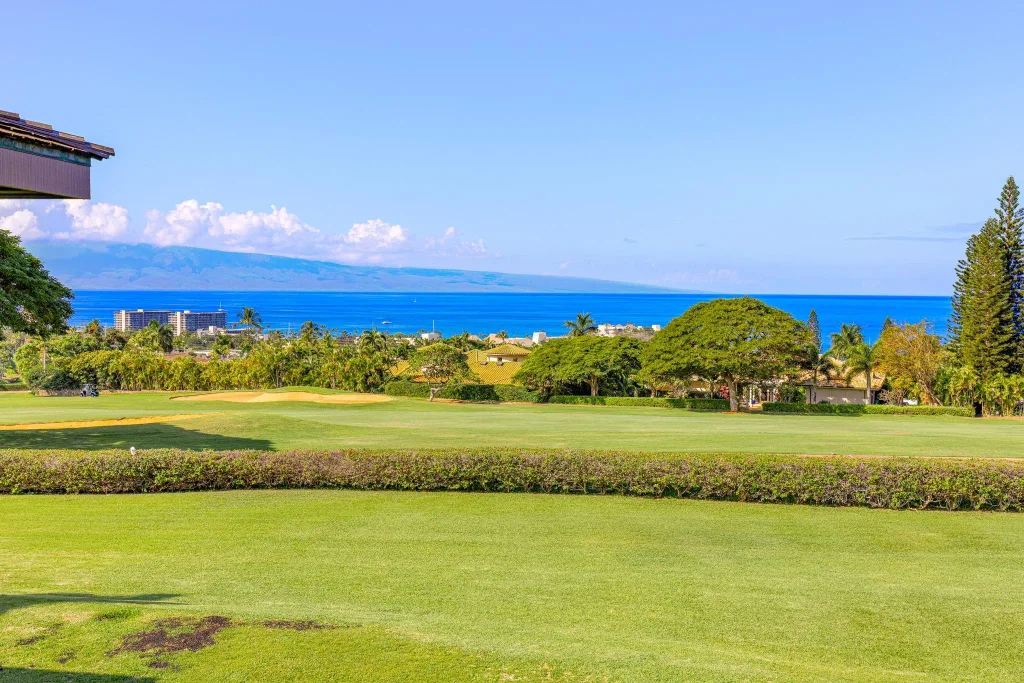 50 Puu Anoano St 2902, Kaanapali