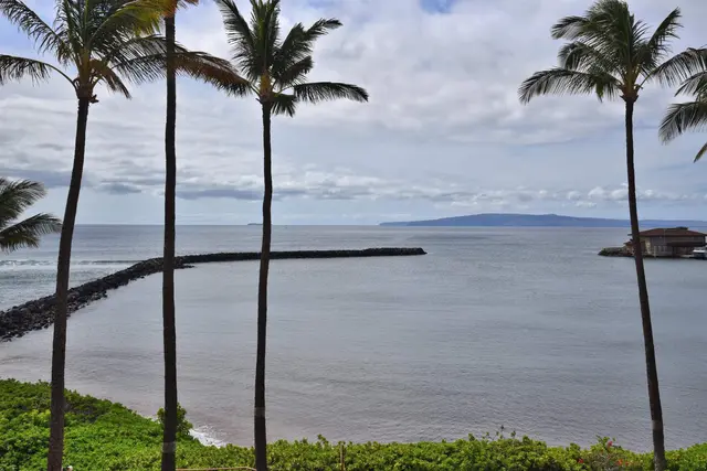 Listing Image for 30 Hauoli St 304 25 of 50