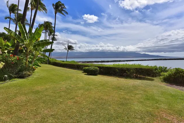 Listing Image for 30 Hauoli St 304 42 of 50