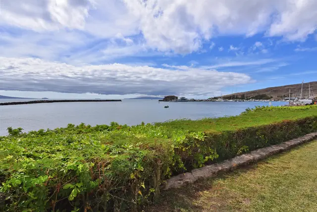 Listing Image for 30 Hauoli St 304 43 of 50