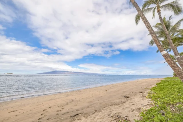 Listing Image for 475 Front St 237 29 of 33