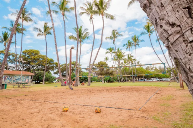 Listing Image for 2191 S Kihei Rd 3402 46 of 50
