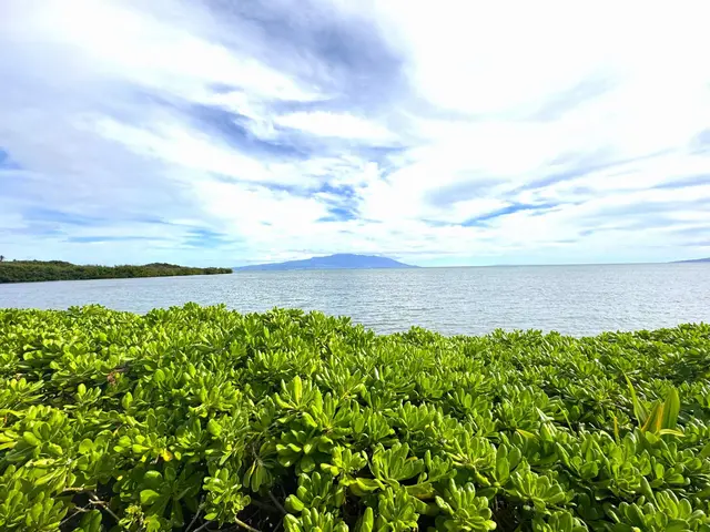 Listing Image for 7146 Kamehameha V Hwy A111 11 of 22