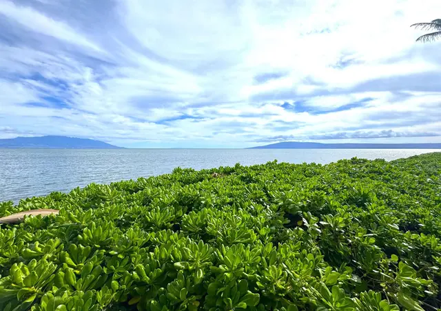 Listing Image for 7146 Kamehameha V Hwy A111 12 of 22