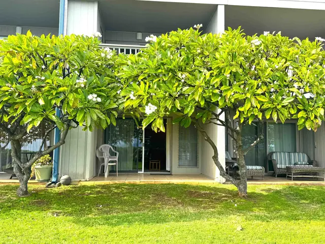 Listing Image for 7146 Kamehameha V Hwy A111 14 of 22