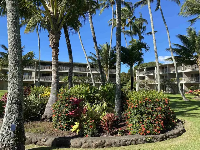 Listing Image for 7146 Kamehameha V Hwy A111 15 of 22