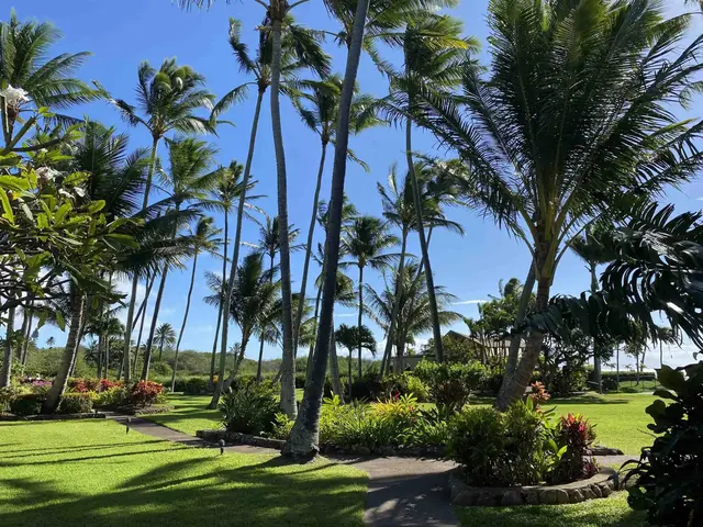Listing Image for 7146 Kamehameha V Hwy C-213 14 of 21