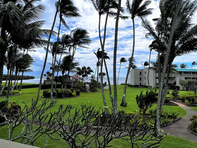 Listing Image for 7146 Kamehameha V Hwy C-213 21 of 21