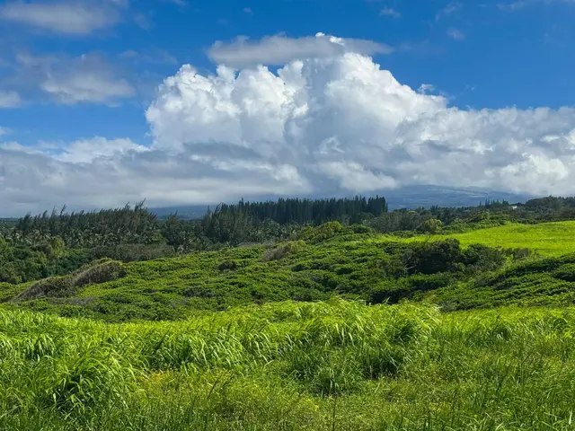 Listing Image for 744 Kai Huki Cir Lot 9 24 of 24