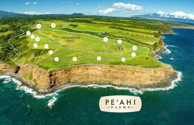 Listing Image for 744 Kai Huki Cir Lot 9 2 of 12