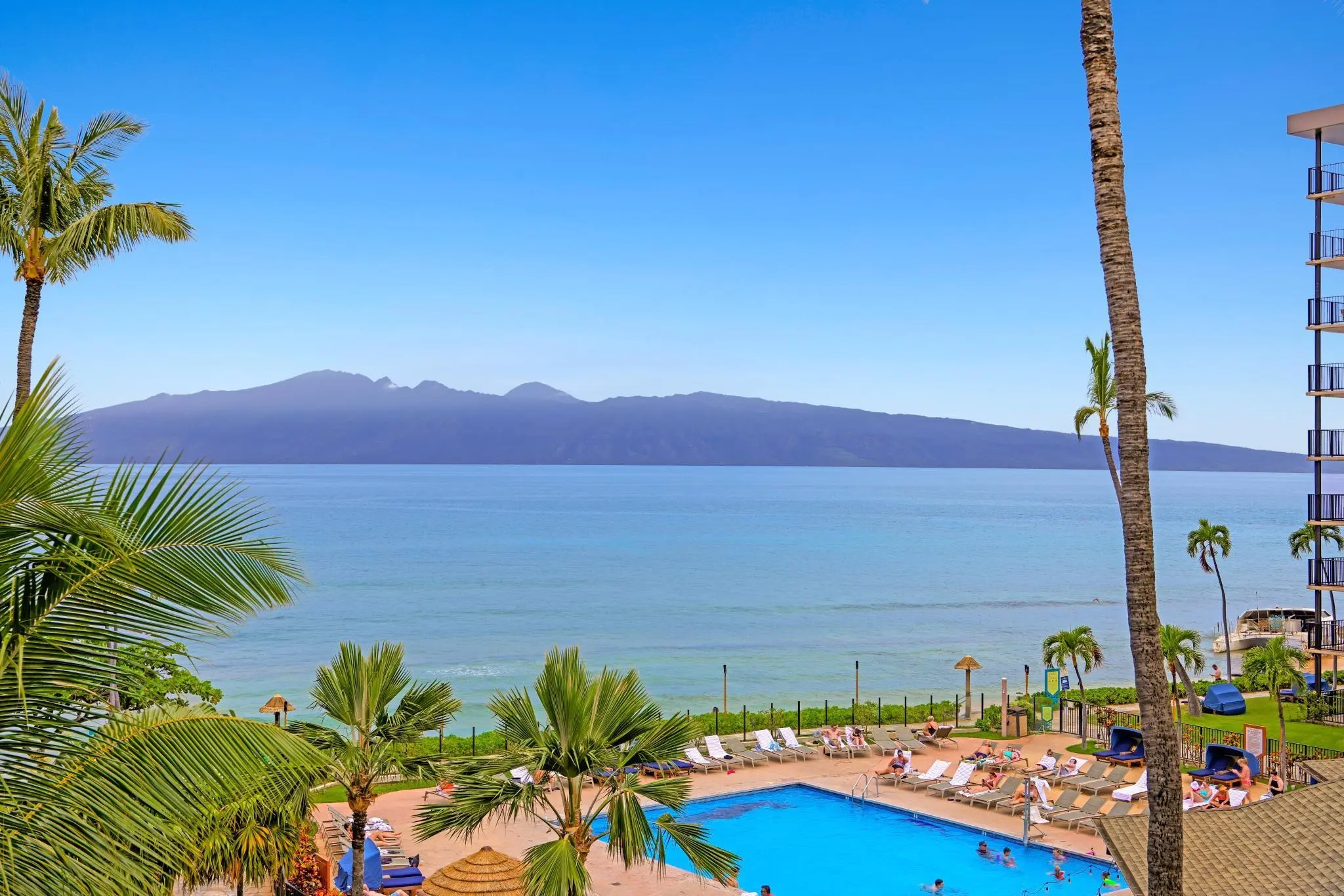 Photo of Listing #409301