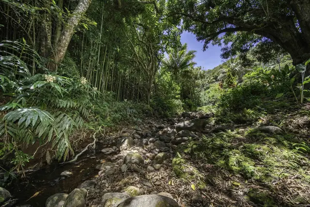 Listing Image for 1185 Nanihoku Pl 40 of 50