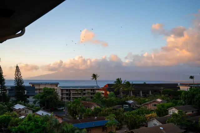 Listing Image for 3708 Lower Honoapiilani Rd E41 1 of 39