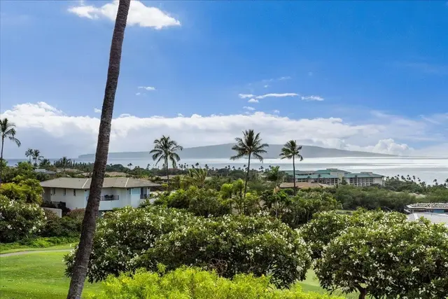 Listing Image for 10 Wailea Ekolu Pl 907 33 of 50