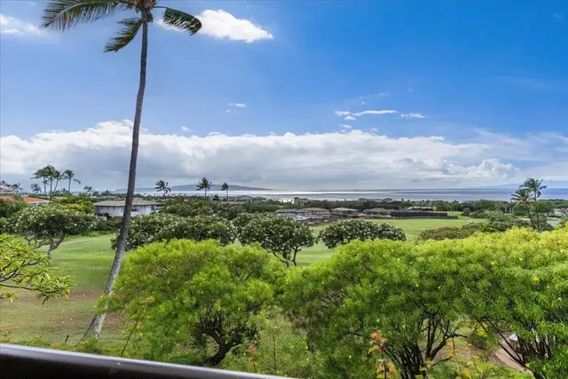 Listing Image for 10 Wailea Ekolu Pl 907 49 of 50