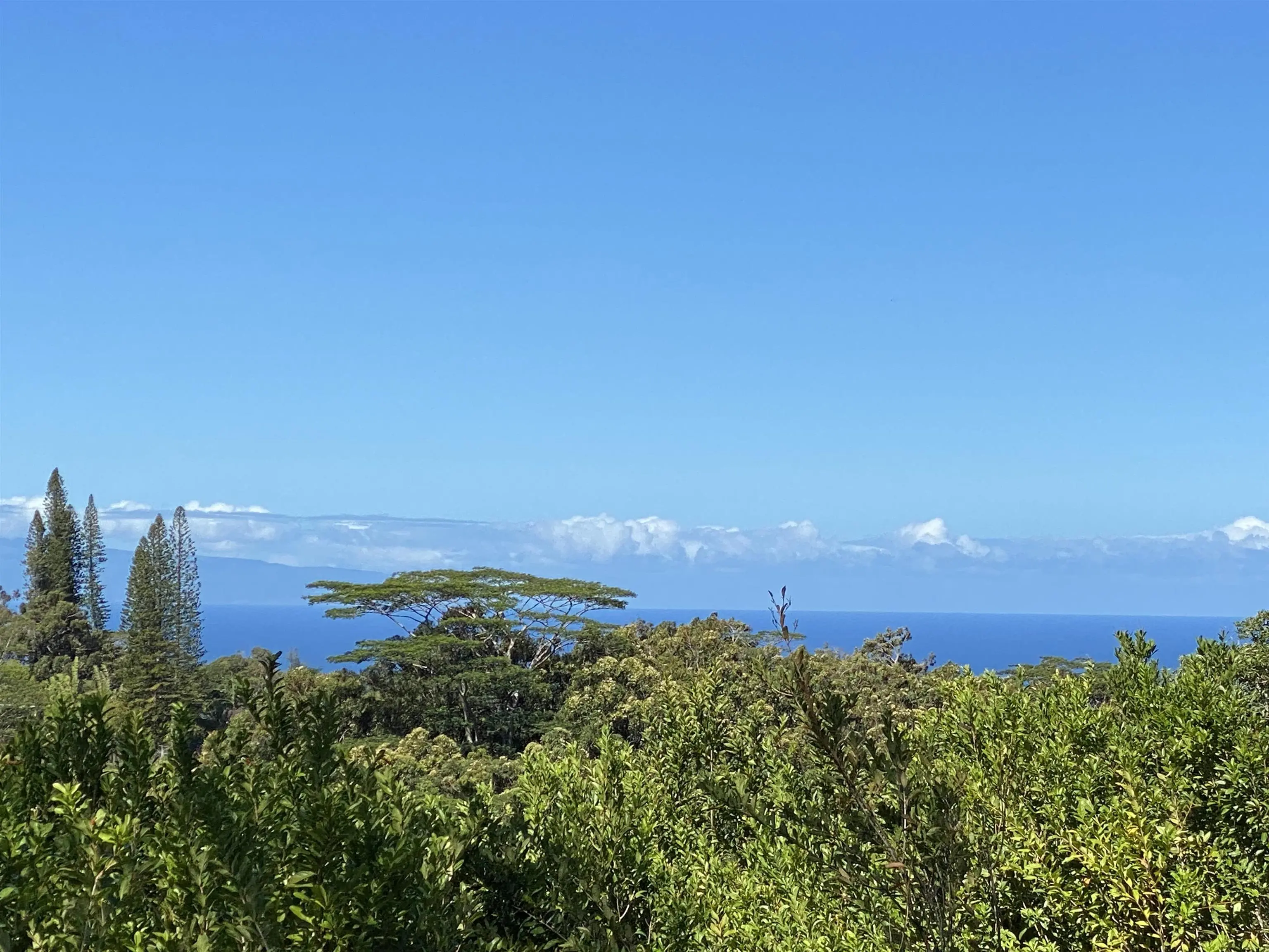 Photo of Listing #393429