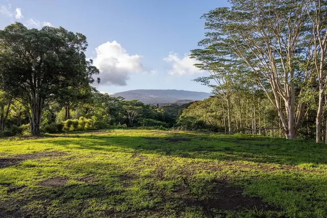 Listing Image for 480 E Kuiaha Rd 11 of 23