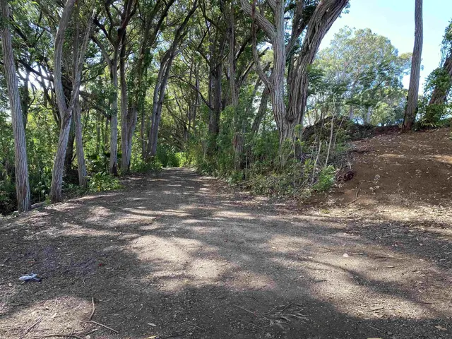 Listing Image for 480 E Kuiaha Rd 12 of 23