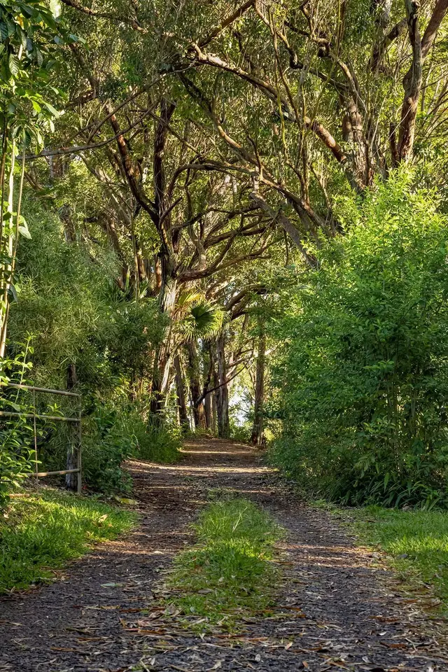 Listing Image for 480 E Kuiaha Rd 13 of 23