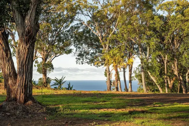 Listing Image for 480 E Kuiaha Rd 15 of 23