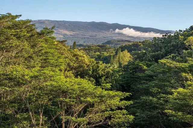 Listing Image for 480 E Kuiaha Rd 17 of 23