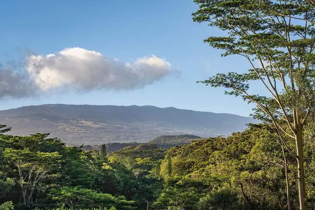 Listing Image for 480 E Kuiaha Rd 18 of 23