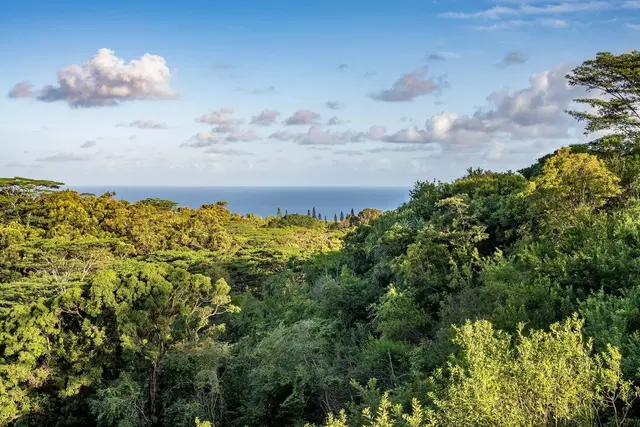 480 E Kuiaha Rd, Haiku, 393429 - 2/23