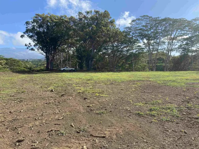 480 E Kuiaha Rd, Haiku, 393429 - 3/23