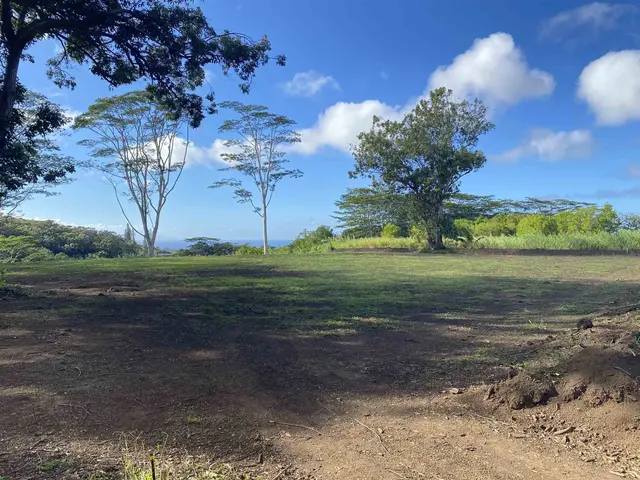 480 E Kuiaha Rd, Haiku, 393429 - 4/23