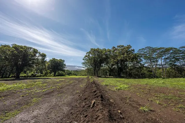 480 E Kuiaha Rd, Haiku, 393429 - 5/23
