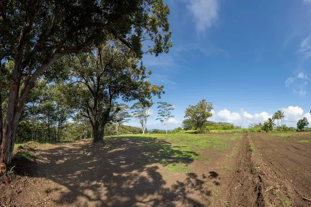 Listing Image for 480 E Kuiaha Rd 6 of 23