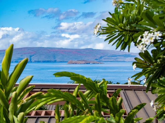 Listing Image for 220 Holomoana Way 103 (15c) 2 of 38