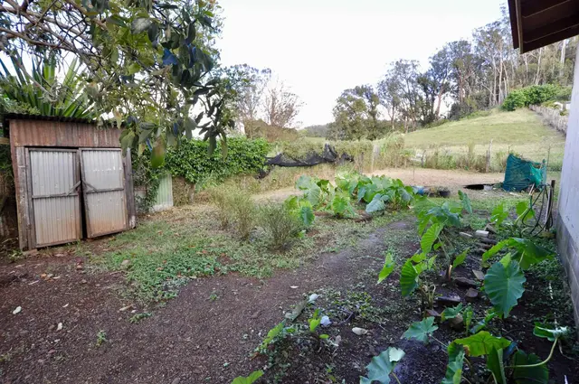 Listing Image for 2835 Kaupakalua Rd 30 of 31