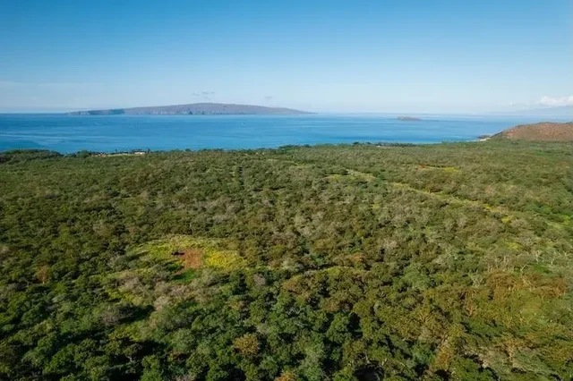 Listing Image for 7191 Makena Rd 16 of 20