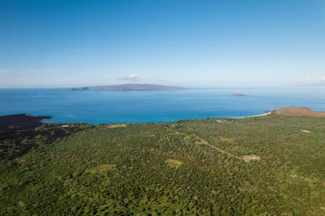 Listing Image for 7191 Makena Rd 17 of 20