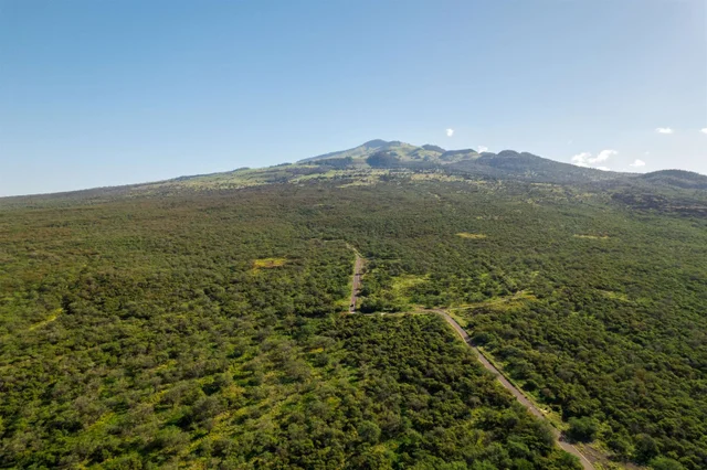 Listing Image for 7191 Makena Rd 18 of 20