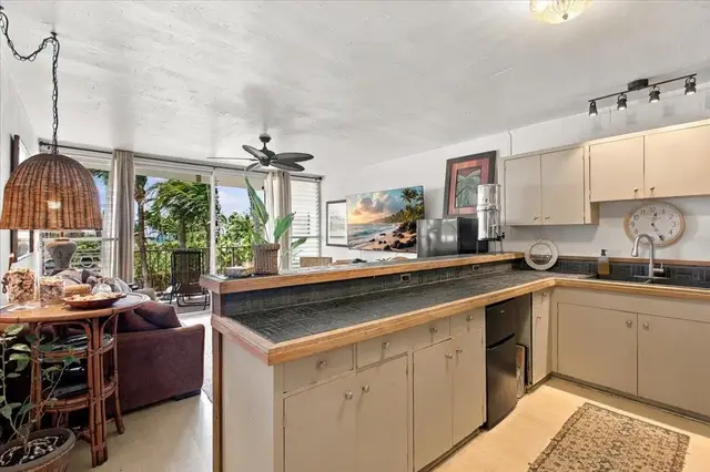 Listing Image for 777 Hana Hwy 308 9 of 42