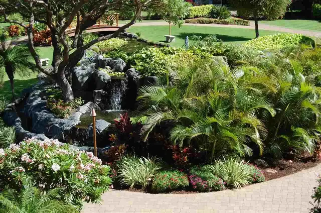 Listing Image for 2481 Kaanapali Pkwy 620h 39 of 44