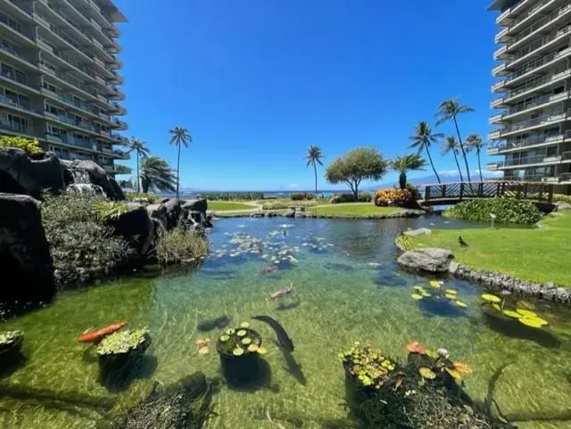 Listing Image for 2481 Kaanapali Pkwy 1259m 43 of 48