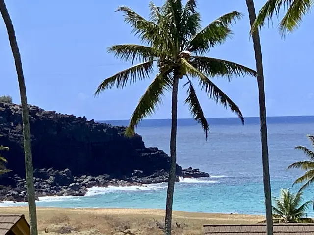 Listing Image for 100 Lio Pl S3 38 of 43