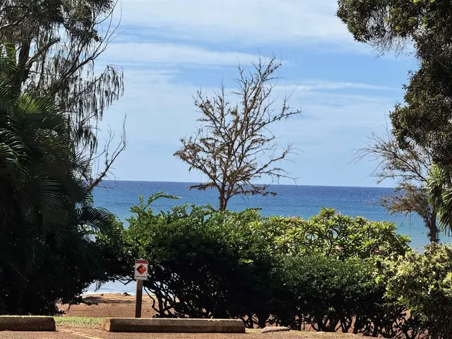 Listing Image for 100 Lio Pl S3 43 of 43