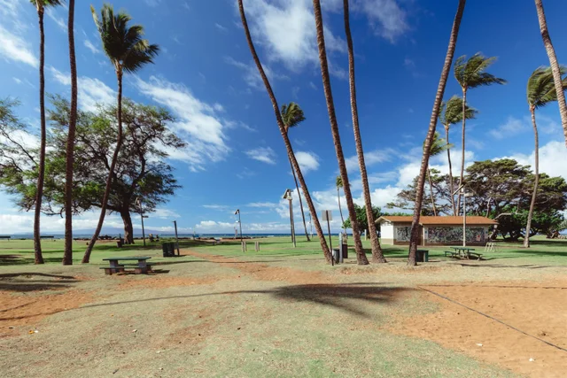 Listing Image for 1993 S Kihei Rd 503 42 of 44
