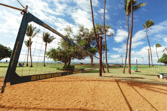Listing Image for 1993 S Kihei Rd 503 43 of 44