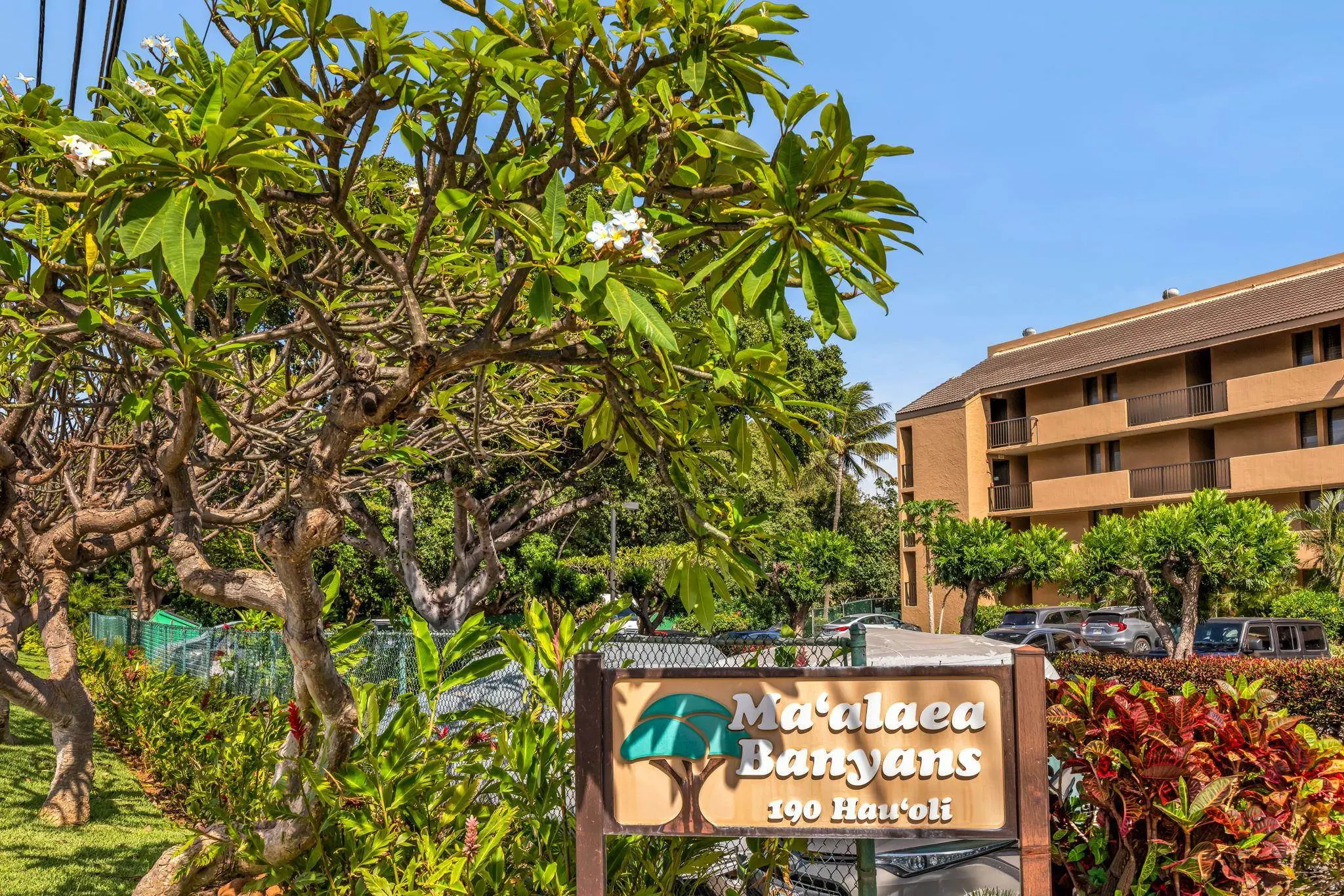 Photo of Listing #409251