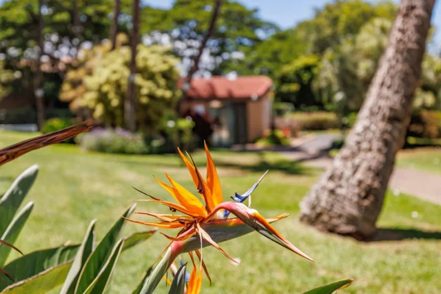 Listing Image for 2191 S Kihei Rd 1118 31 of 40