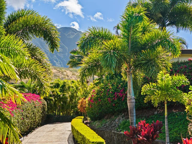 Listing Image for 858 Kai Hele Ku St B 5 of 50