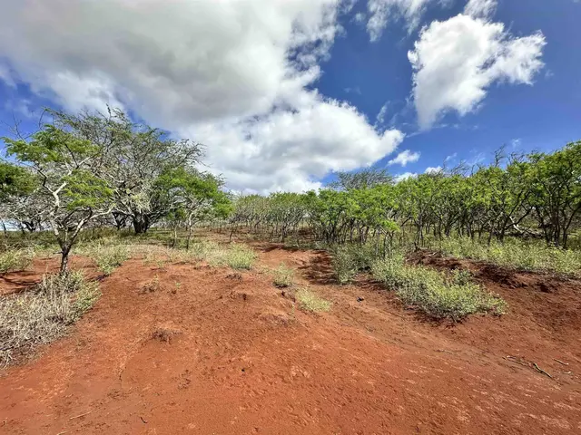 Listing Image for 0 Kalua Koi Rd 38 2 of 13
