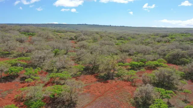 Listing Image for 0 Kalua Koi Rd 38 4 of 13